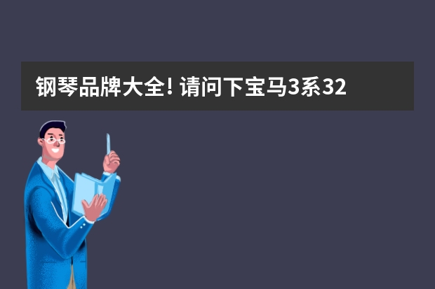 钢琴品牌大全! 请问下宝马3系320i典雅型配置的牌子?