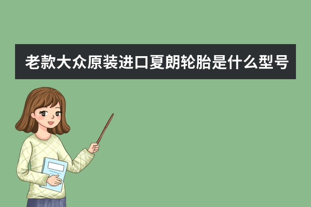 老款大众原装进口夏朗轮胎是什么型号的