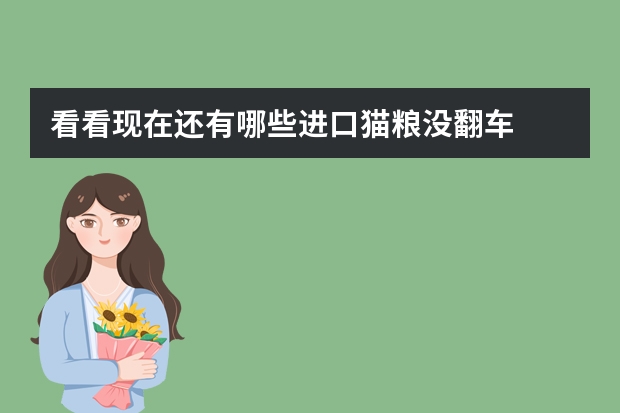 看看现在还有哪些进口猫粮没翻车