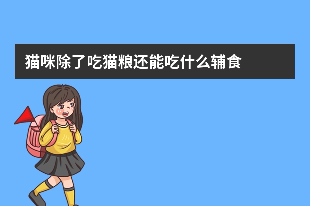猫咪除了吃猫粮还能吃什么辅食
