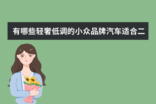 有哪些轻奢低调的小众品牌汽车适合二十几岁年轻人？