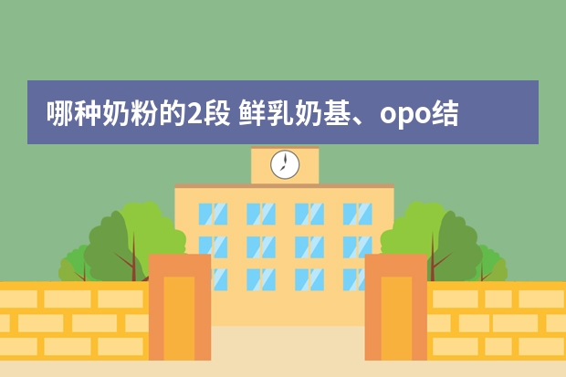 哪种奶粉的2段 鲜乳奶基、opo结构, 不含棕榈油、麦芽糊精、糖、香精的呢？