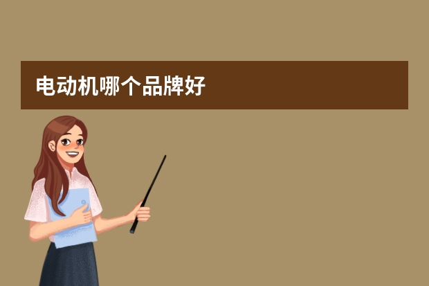 电动机哪个品牌好
