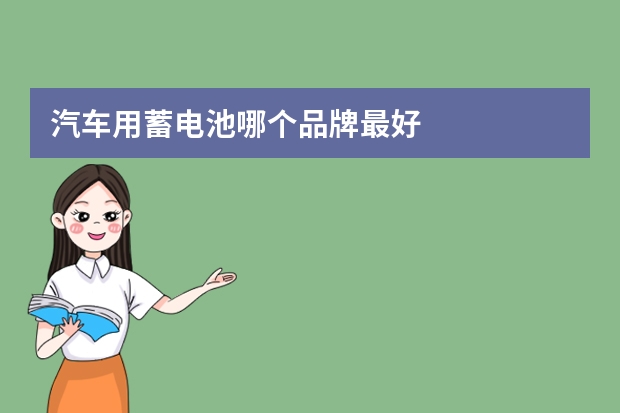 汽车用蓄电池哪个品牌最好