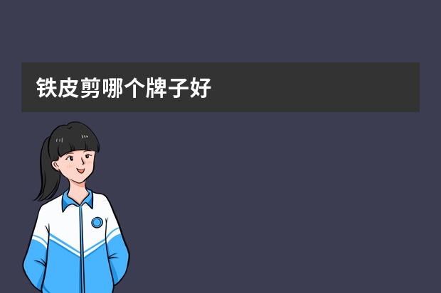 铁皮剪哪个牌子好