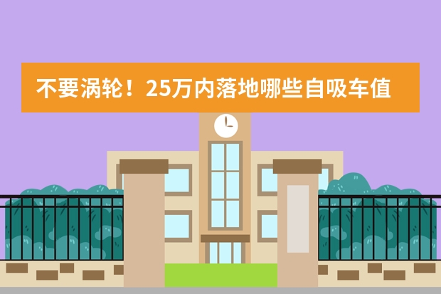 不要涡轮！25万内落地哪些自吸车值得买？这3款别再错过了