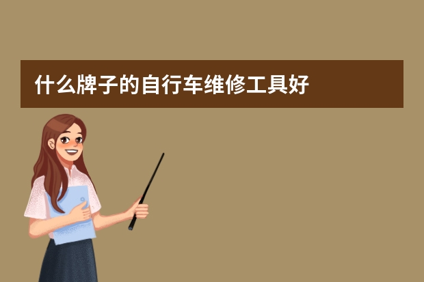 什么牌子的自行车维修工具好