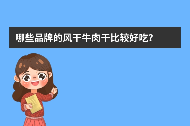 哪些品牌的风干牛肉干比较好吃？